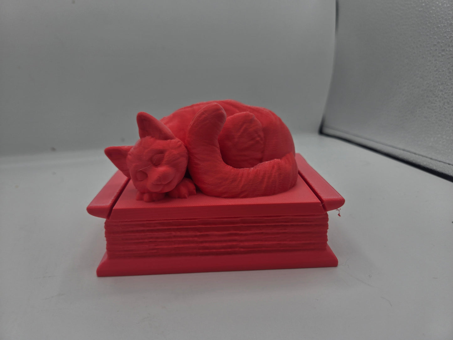 Curled Sleepy Cat with Book Shaped Trinket Box 3D Print