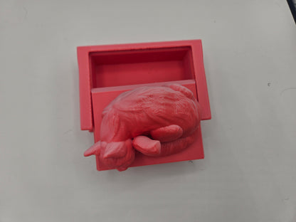 Curled Sleepy Cat with Book Shaped Trinket Box 3D Print