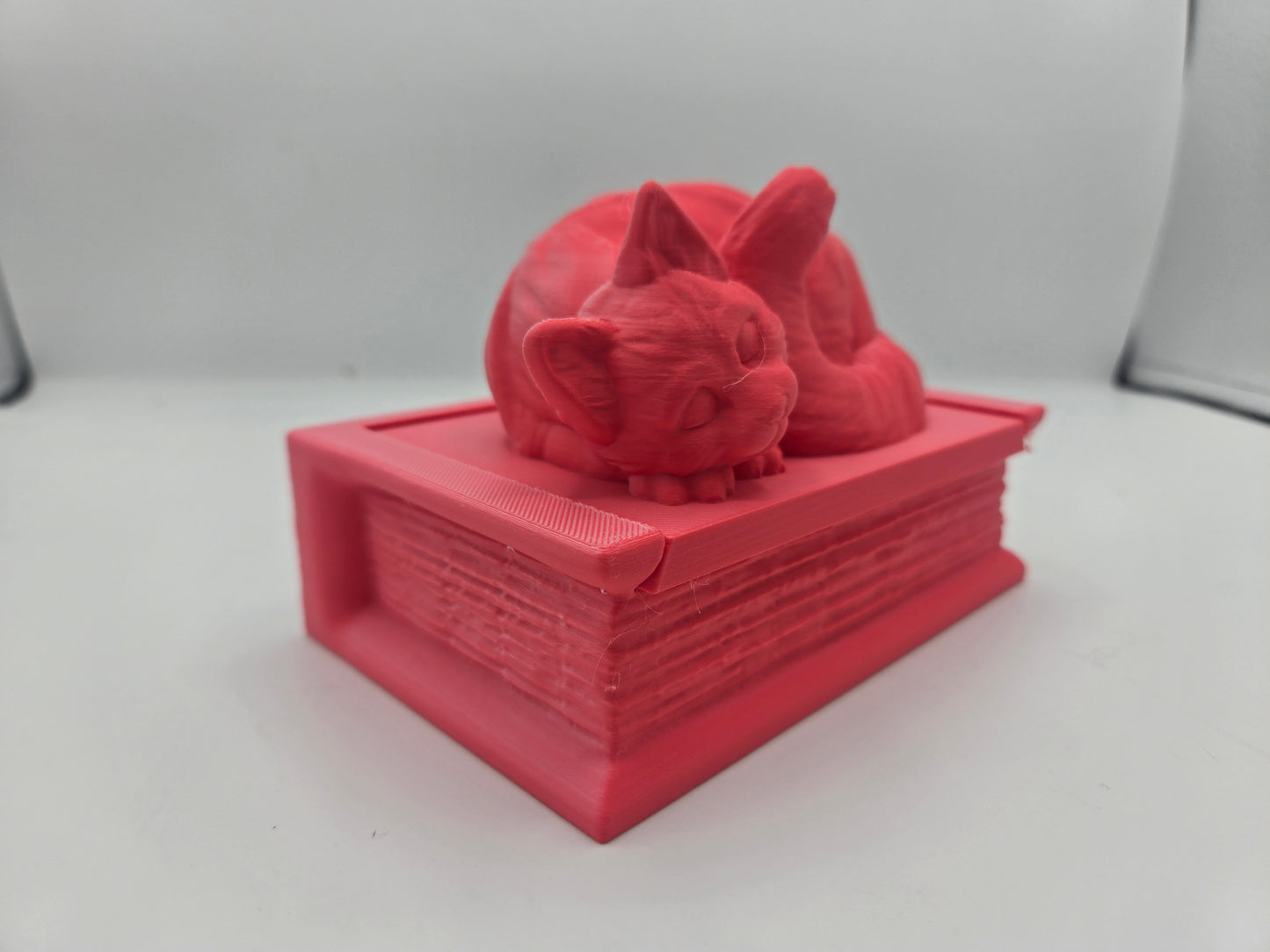 Curled Sleepy Cat with Book Shaped Trinket Box 3D Print