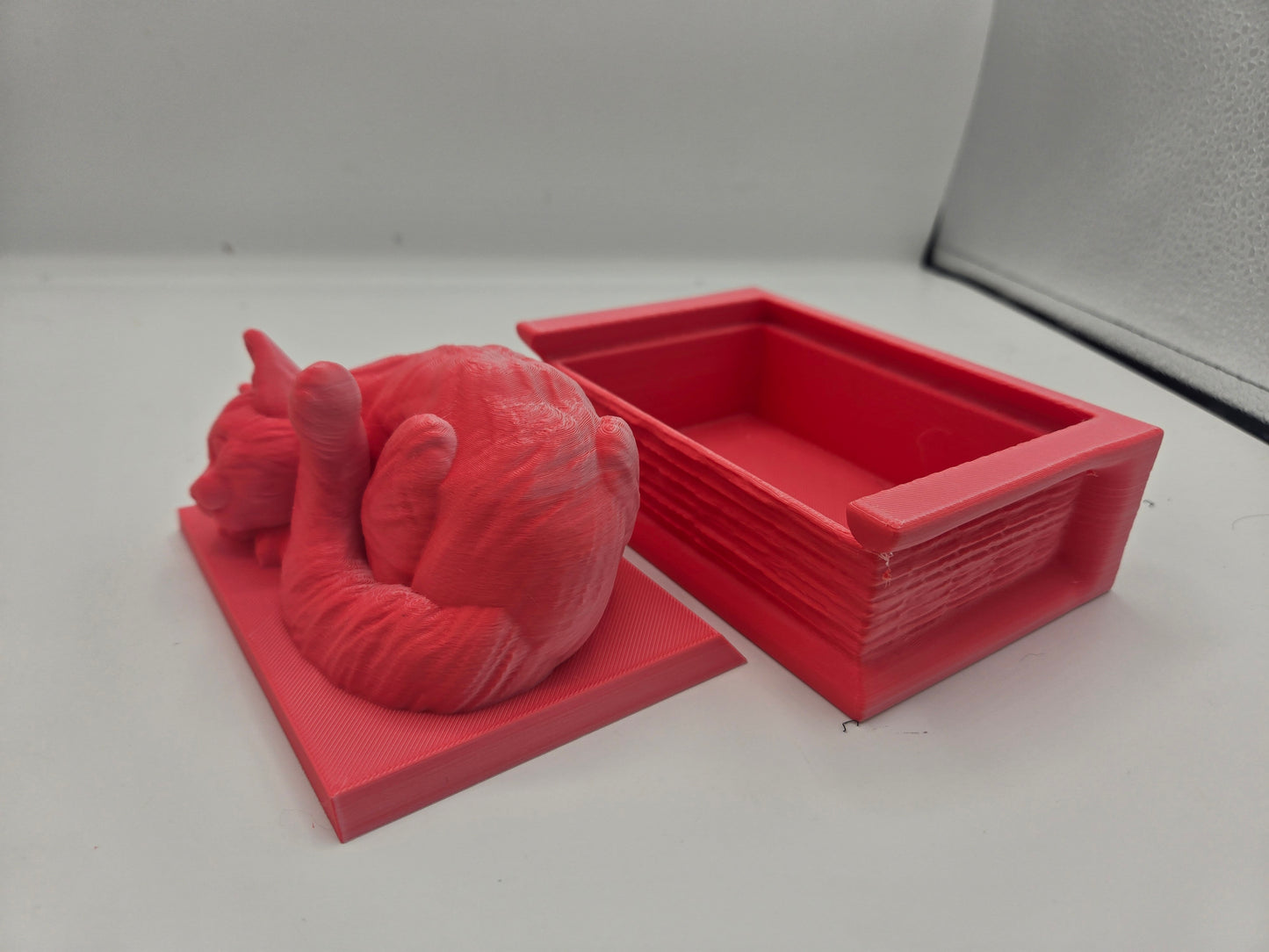 Curled Sleepy Cat with Book Shaped Trinket Box 3D Print