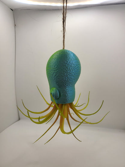 Octopus Squid Air Plant Holder - Underwater Charm Unique 3D Printing Display