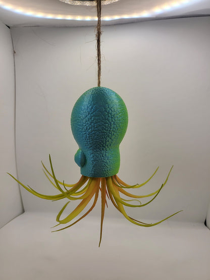 Octopus Squid Air Plant Holder - Underwater Charm Unique 3D Printing Display