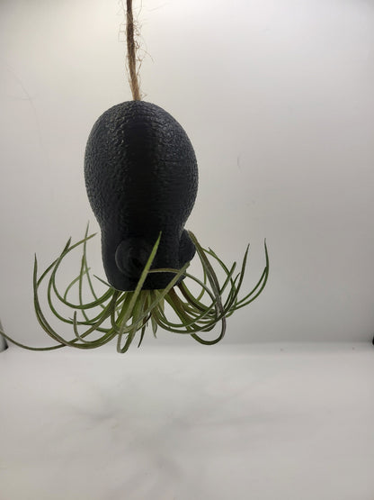 Octopus Squid Air Plant Holder - Underwater Charm Unique 3D Printing Display
