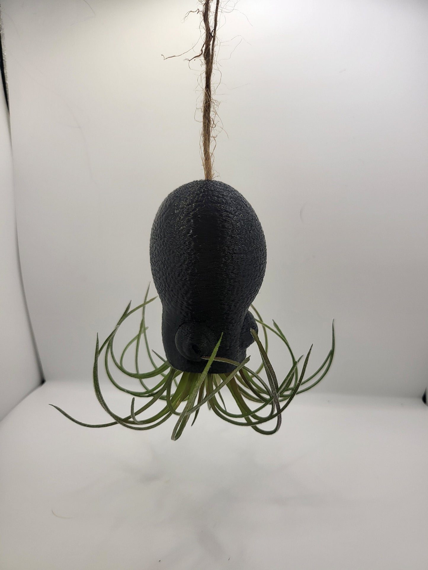 Octopus Squid Air Plant Holder - Underwater Charm Unique 3D Printing Display