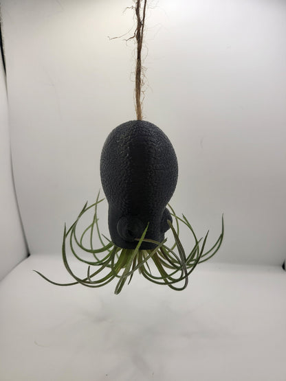 Octopus Squid Air Plant Holder - Underwater Charm Unique 3D Printing Display