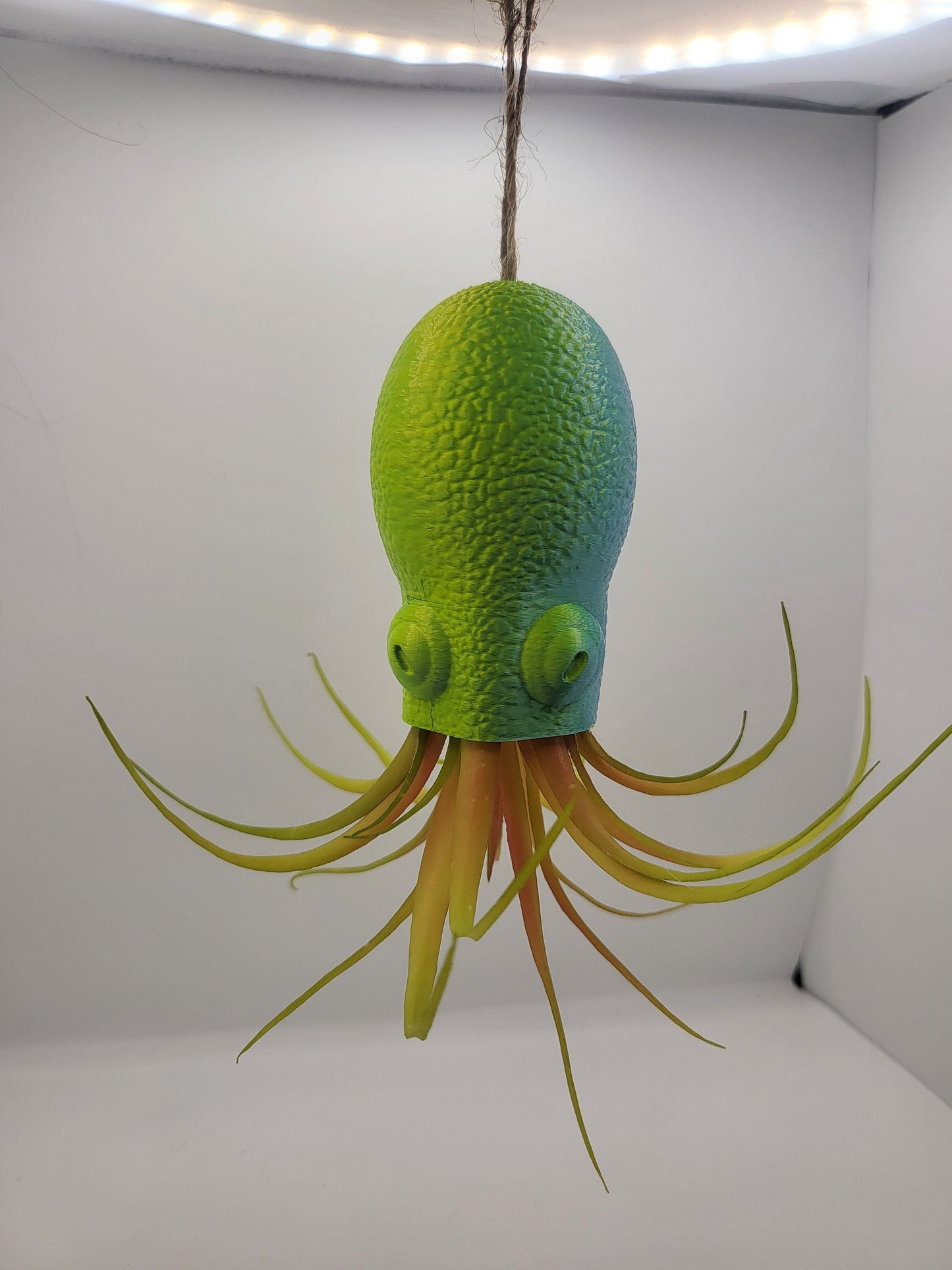 Octopus Squid Air Plant Holder - Underwater Charm Unique 3D Printing Display