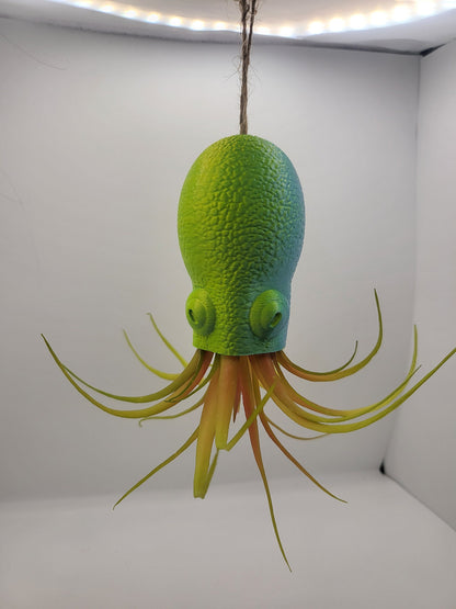 Octopus Squid Air Plant Holder - Underwater Charm Unique 3D Printing Display