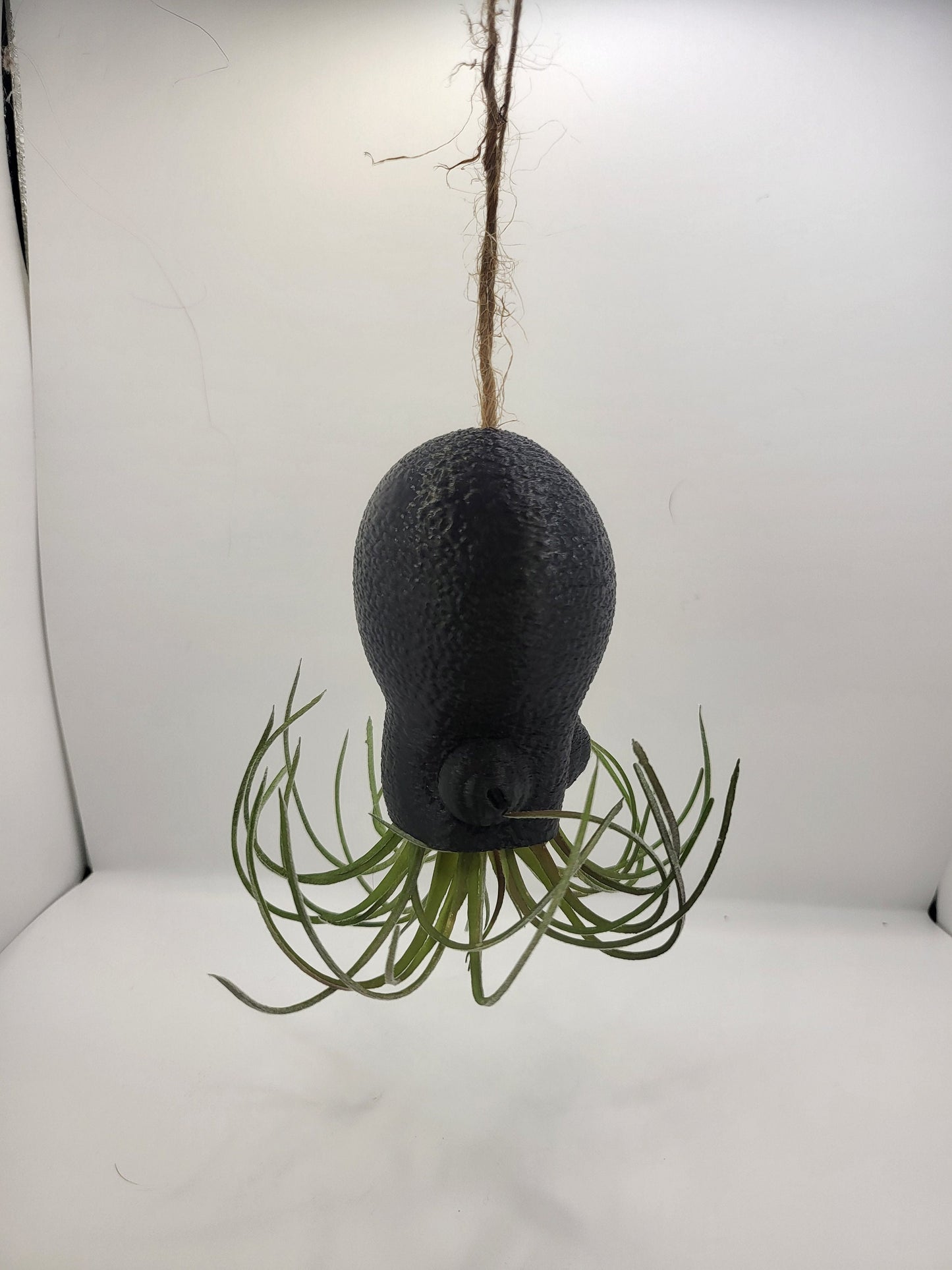 Octopus Squid Air Plant Holder - Underwater Charm Unique 3D Printing Display