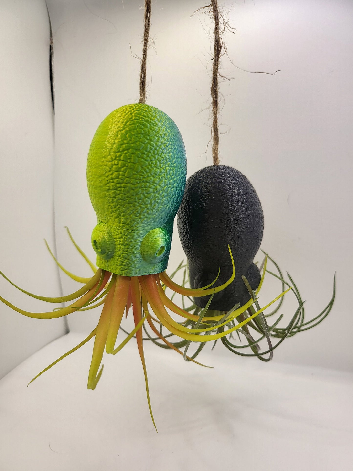 Octopus Squid Air Plant Holder - Underwater Charm Unique 3D Printing Display
