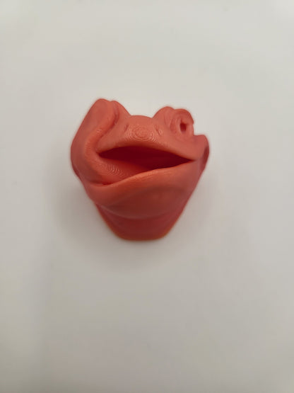 Licky Leopard Gecko Magnet