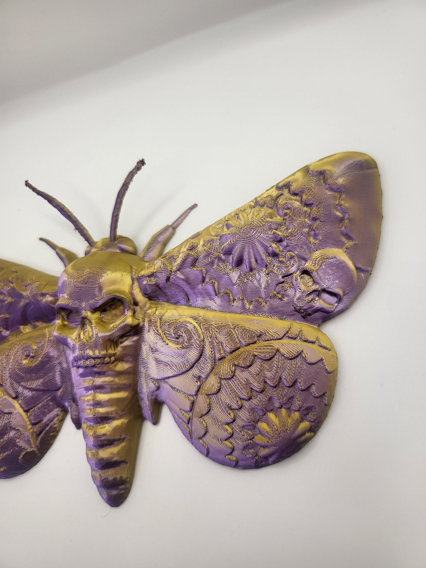 Death Moth 3D Print