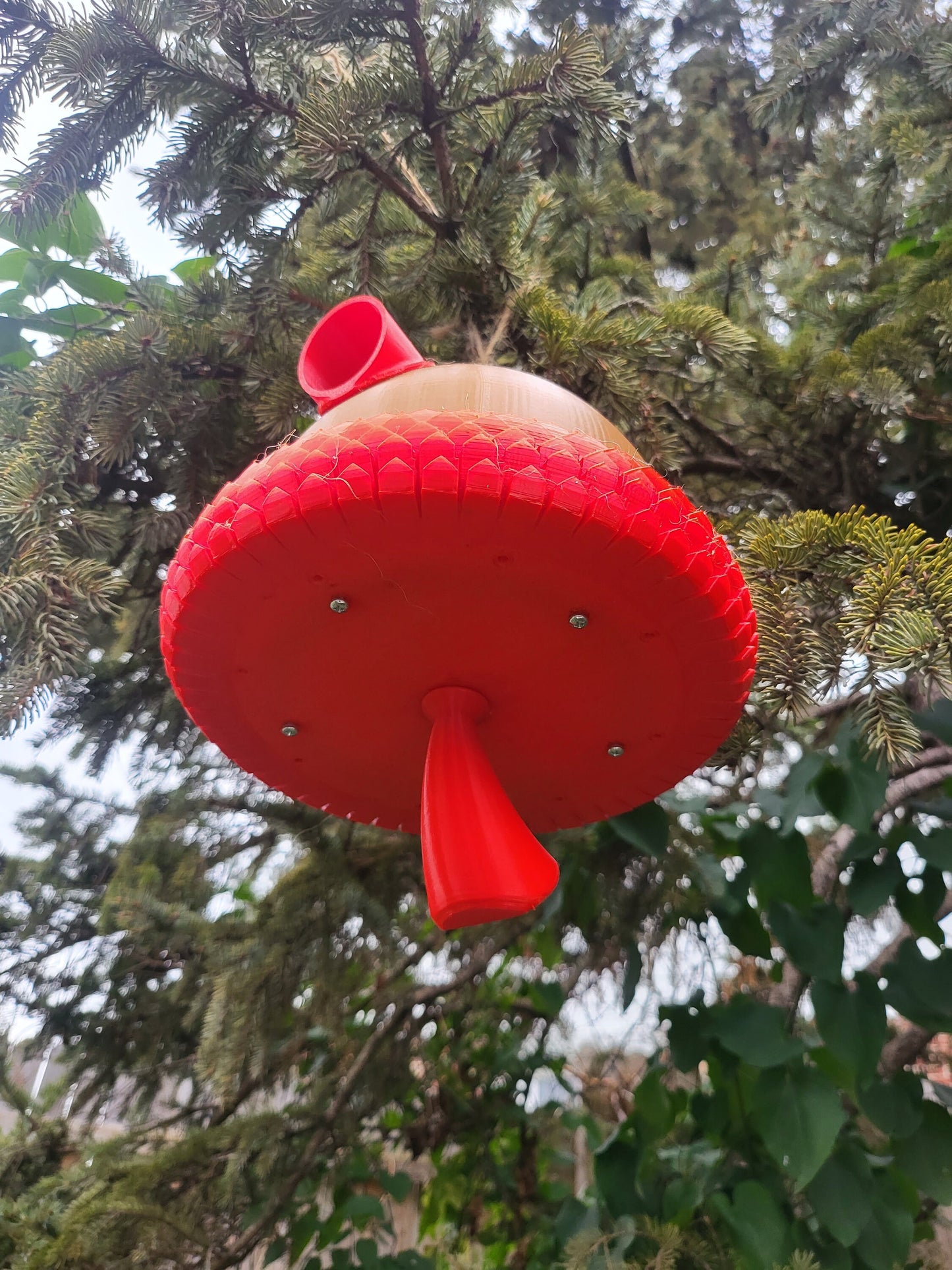 Acorn Bird House 3D Print (PETG)