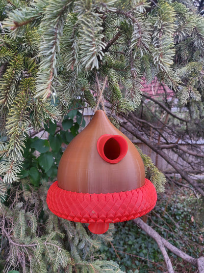 Acorn Bird House 3D Print (PETG)