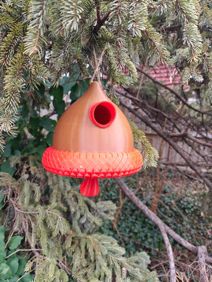 Acorn Bird House 3D Print (PETG)
