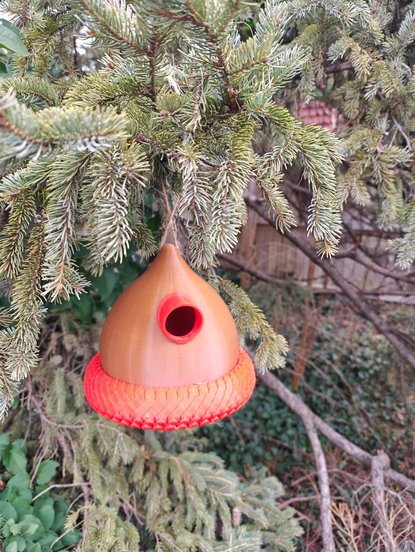 Acorn Bird House 3D Print (PETG)
