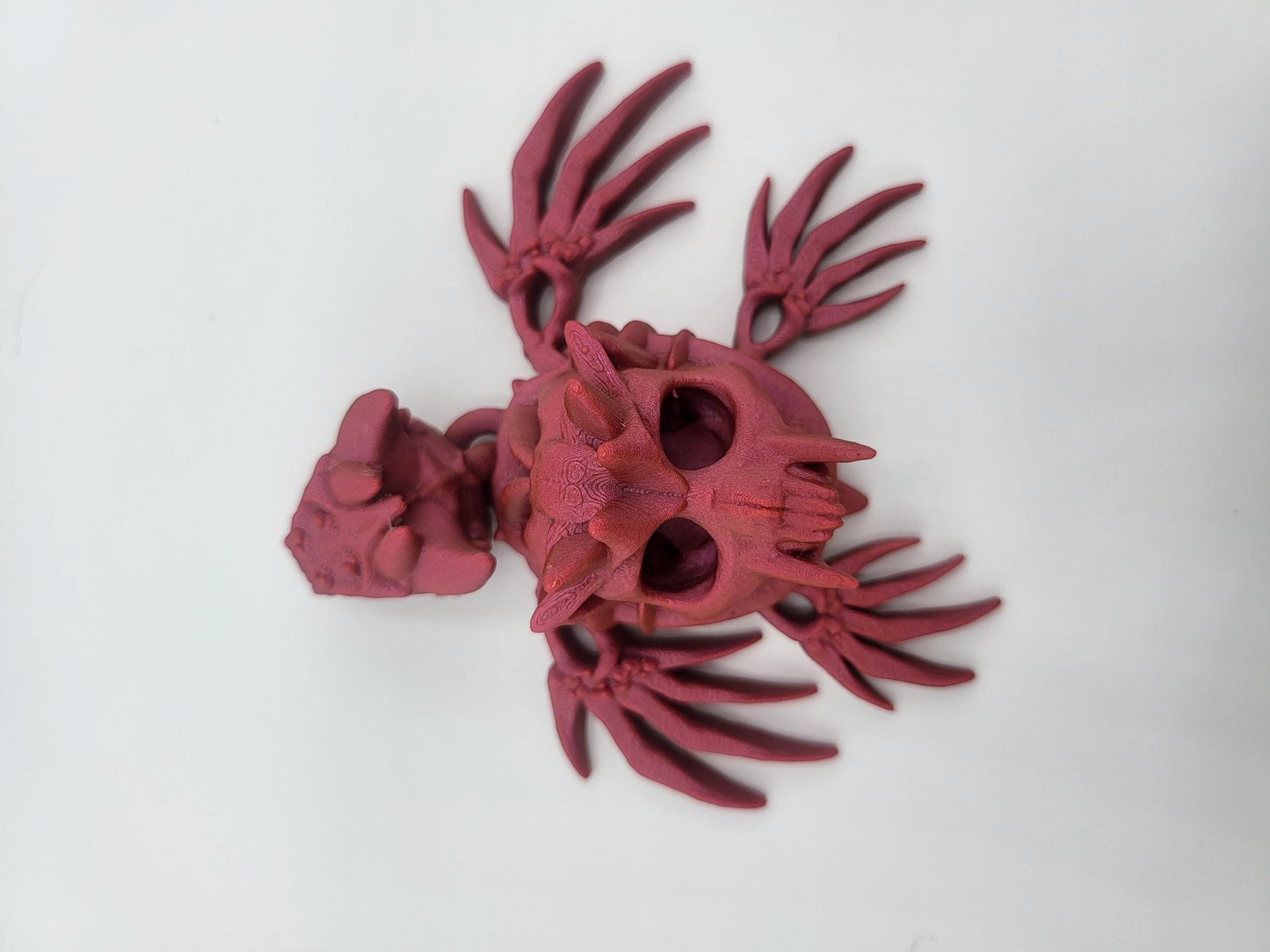 Hollow Skull Turtle Articulated 3D Print