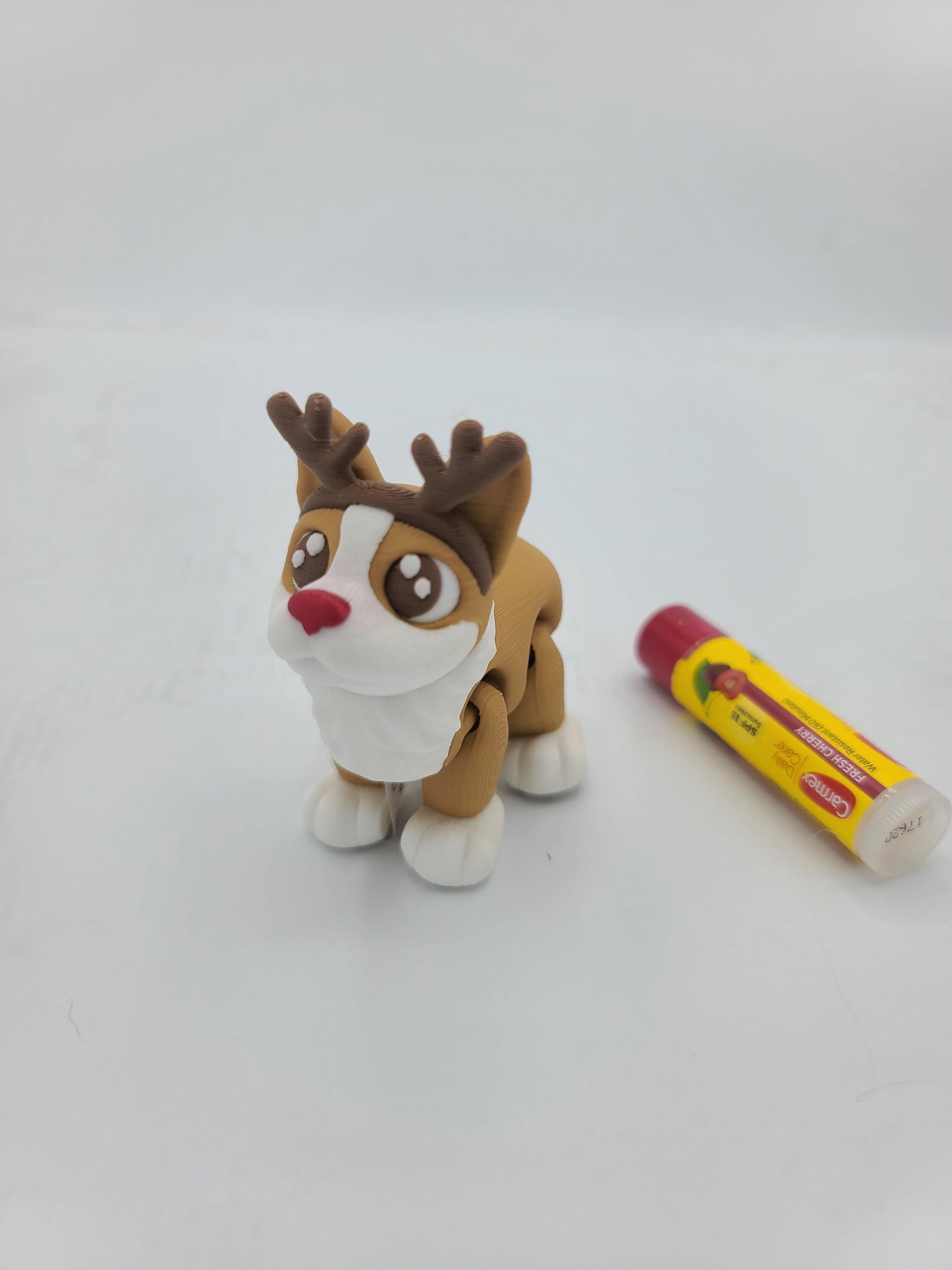 Corgi Rudolph figurine on holiday desk — corgi dressed as reindeer