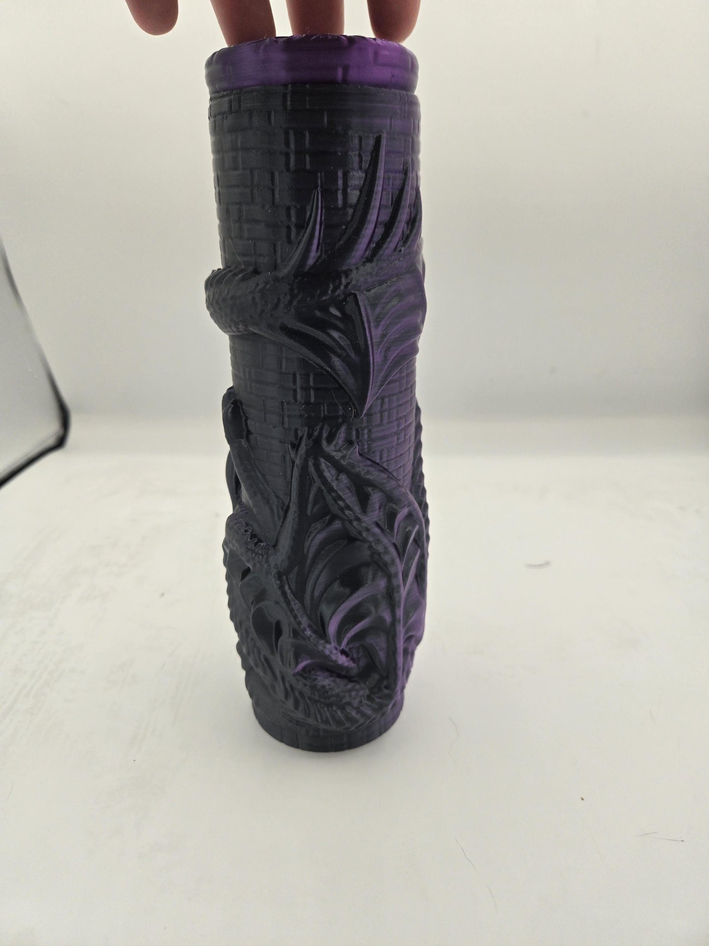 Dragon Castle Fantasy Pencil/Pen Case 3D Print
