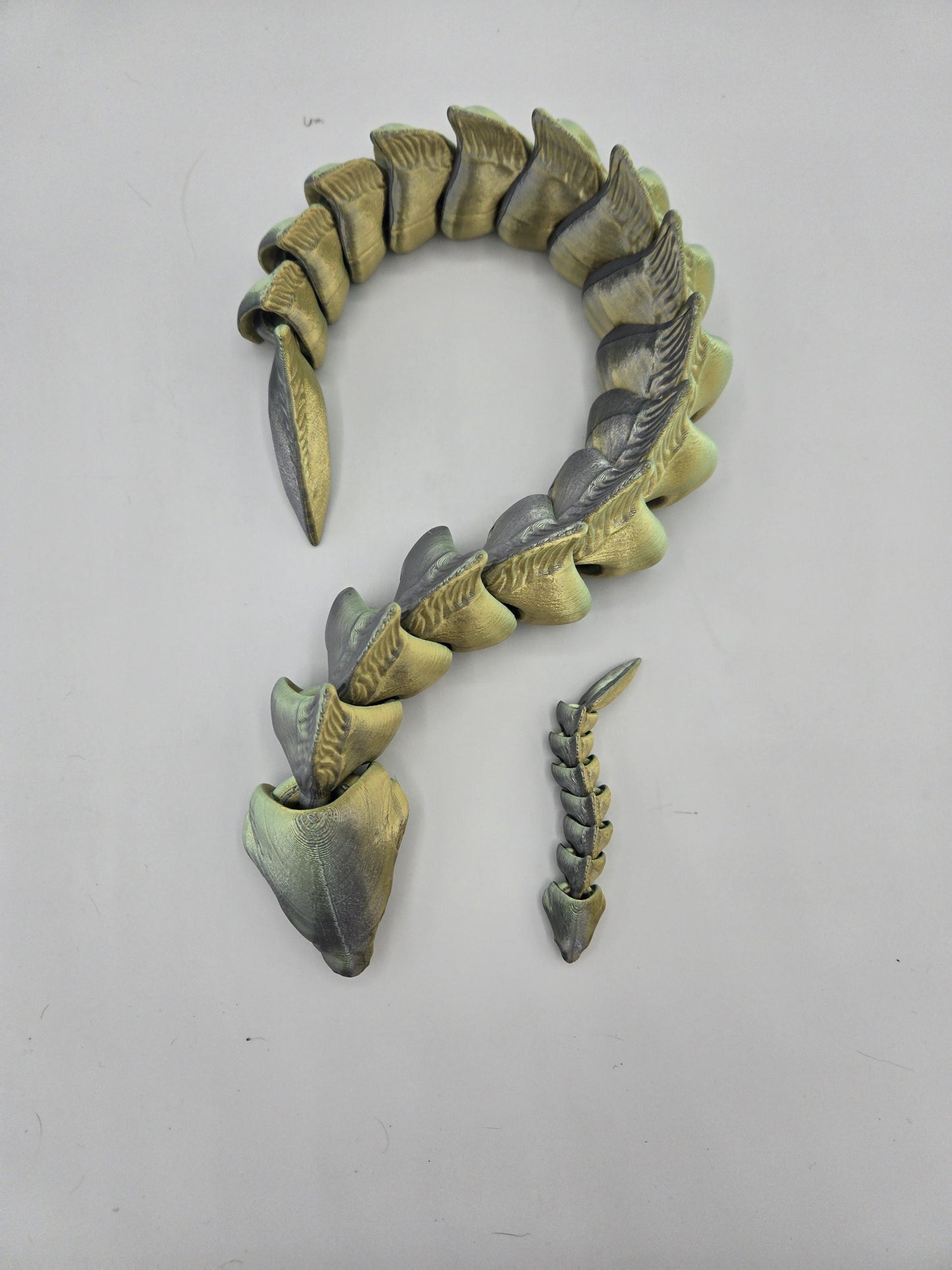 Moray Eel Flexi | Adult, Baby or Baby Keychain Available | 3D Print