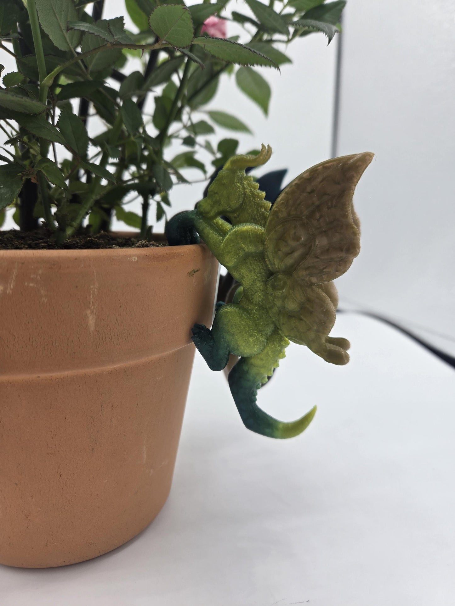Dragon Fantasy Decor Adorable Indoor Planter Buddies for Potted Plants 3D Print