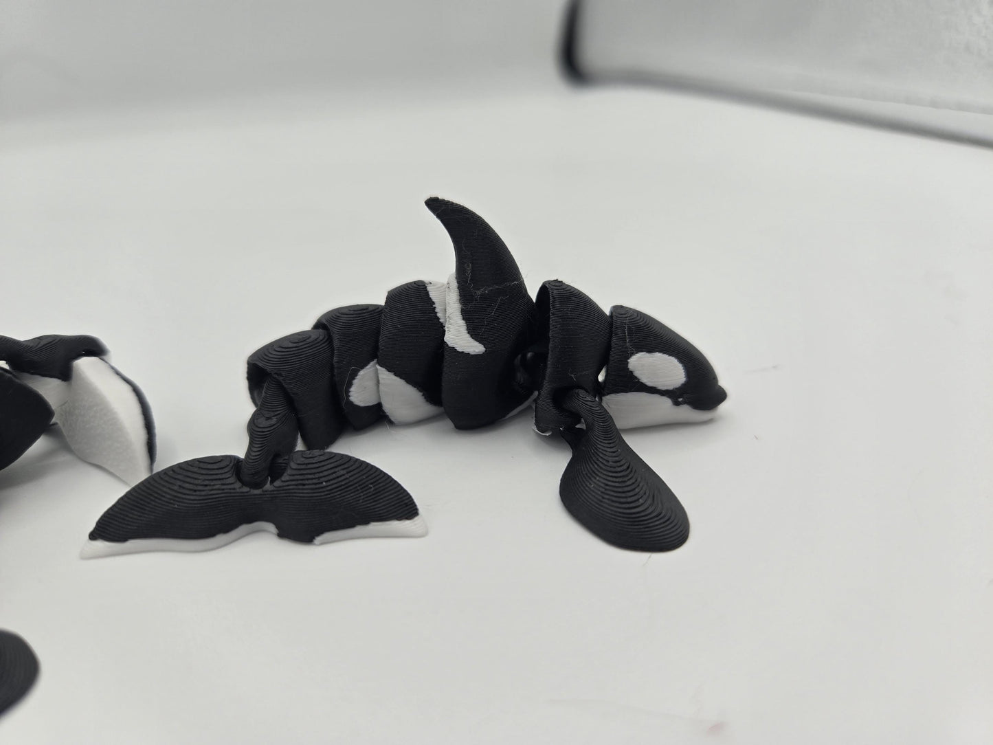 Tiny Orca Whale Flexi Articulated Killer Whale 3D Print