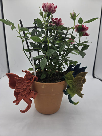 Dragon Fantasy Decor Adorable Indoor Planter Buddies for Potted Plants 3D Print