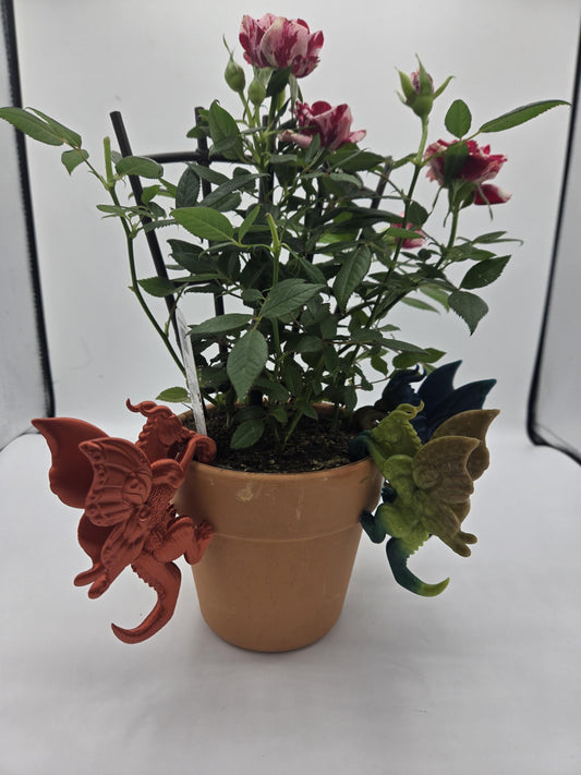 Dragon Fantasy Decor Adorable Indoor Planter Buddies for Potted Plants 3D Print