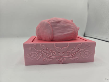 Curled Cat Book Shaped Trinket Box 3D Print