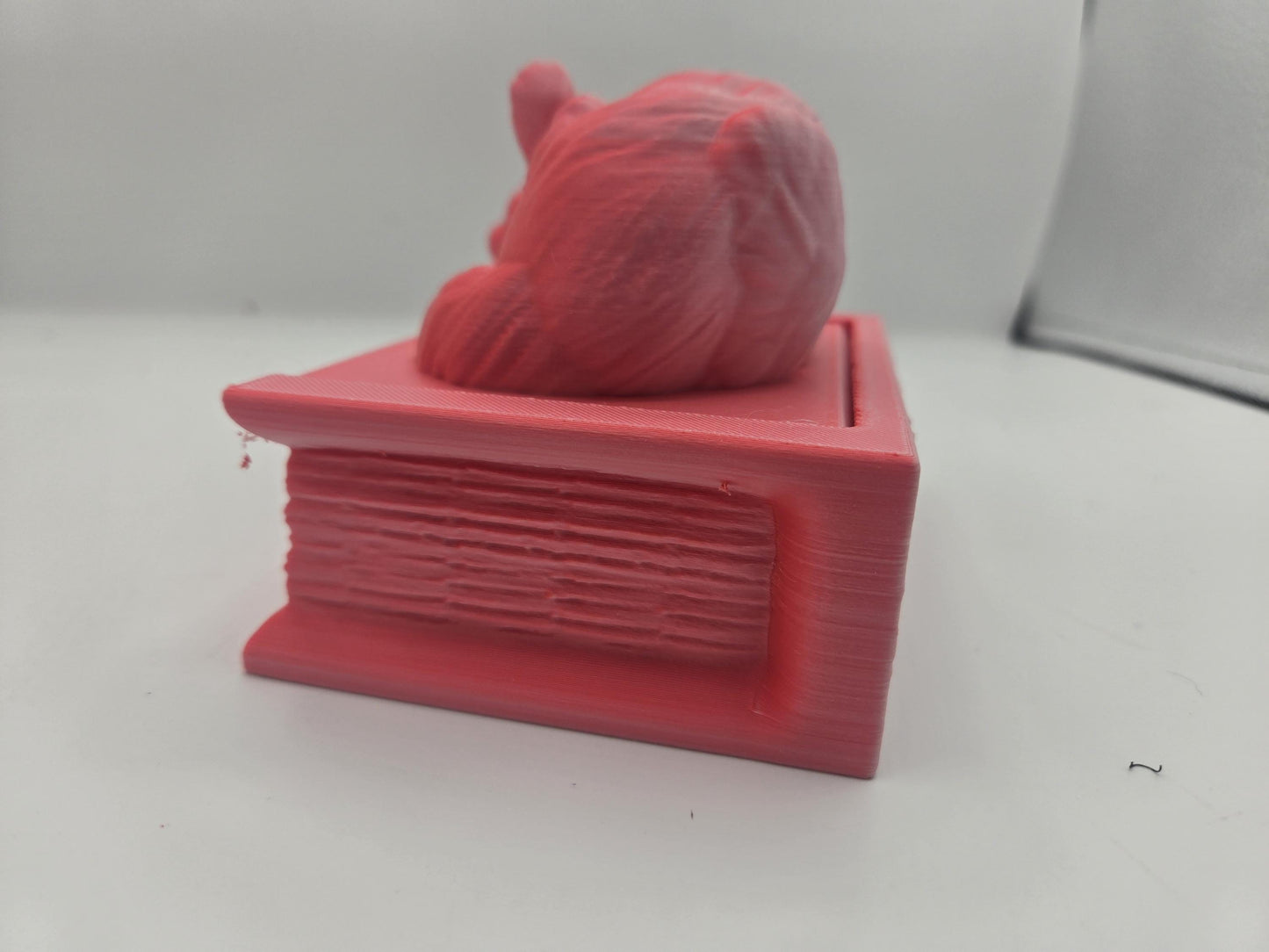 Curled Cat Book Shaped Trinket Box 3D Print