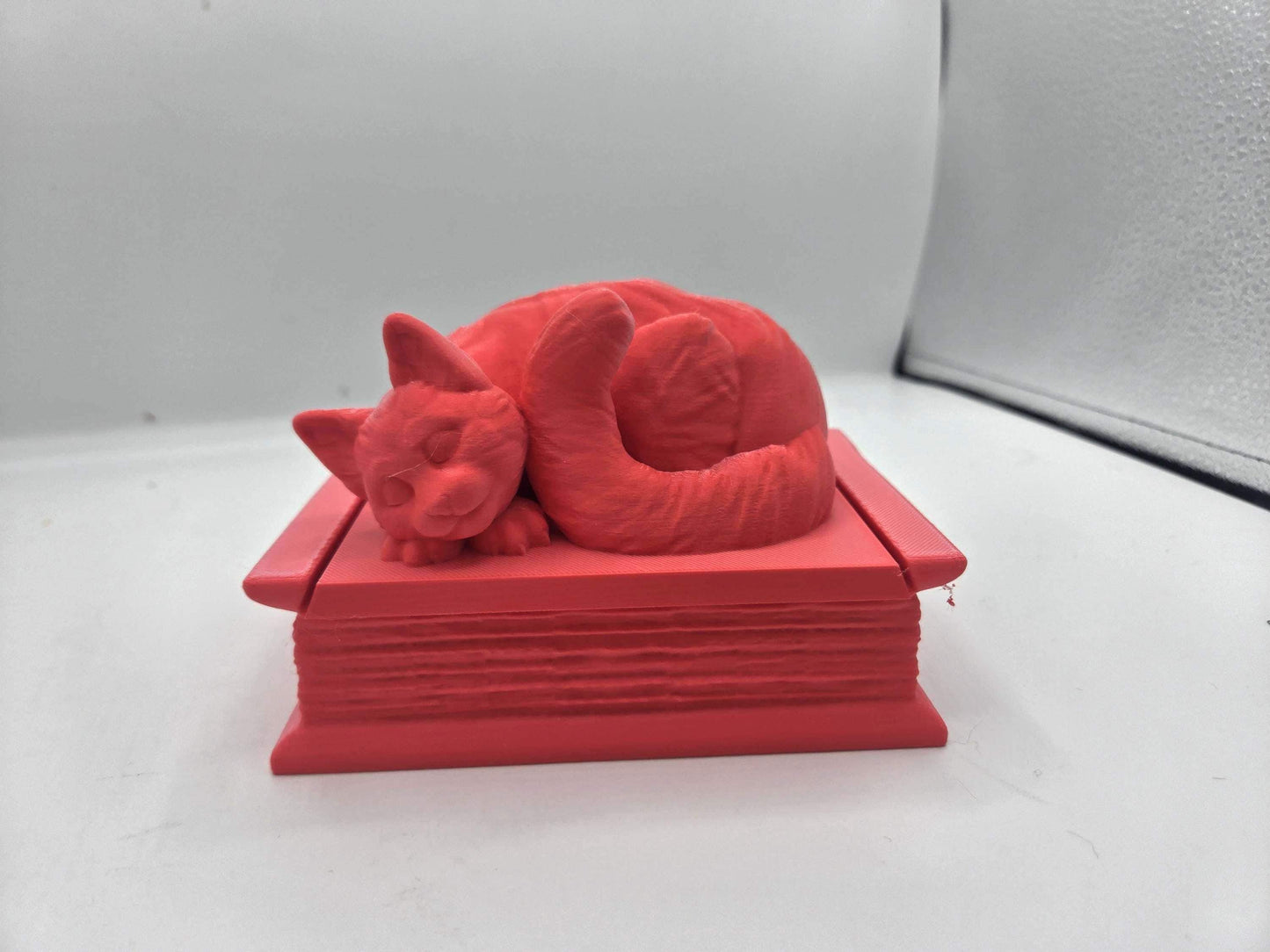 Curled Cat Book Shaped Trinket Box 3D Print