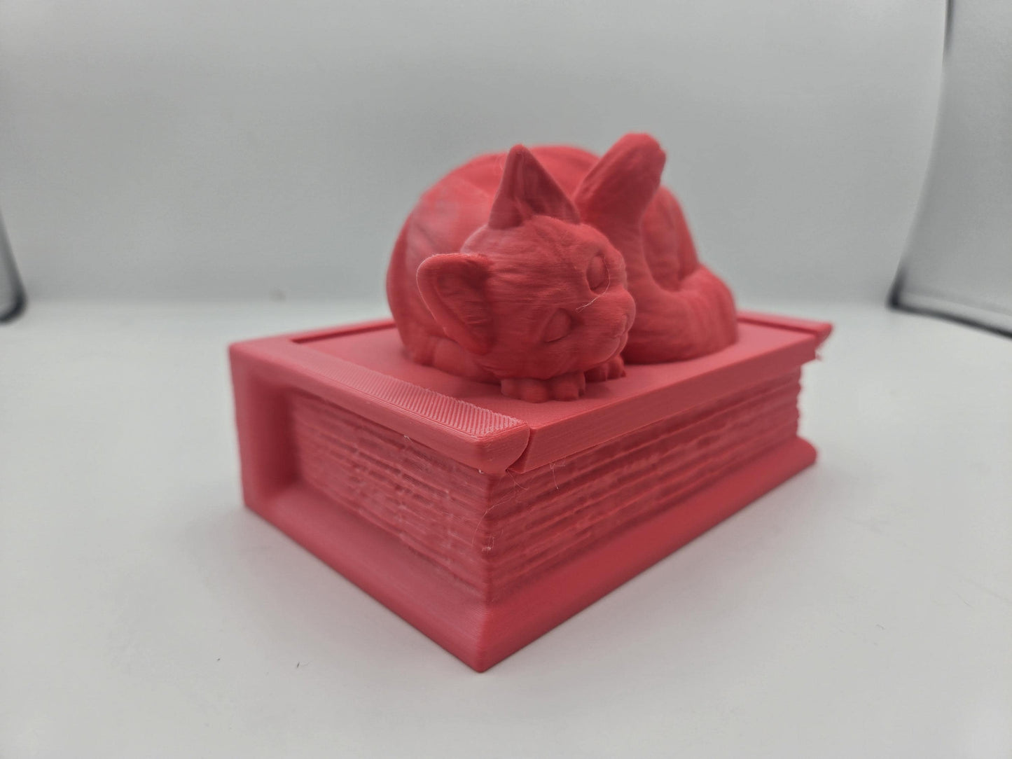 Curled Cat Book Shaped Trinket Box 3D Print