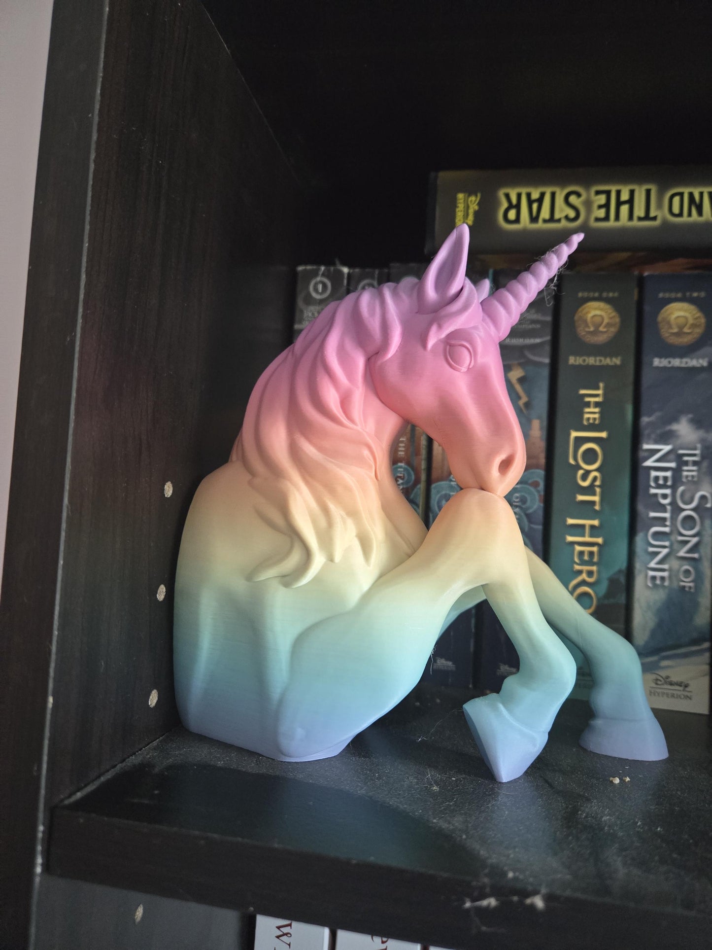 Unicorn Book Shelf Nook/Display 3D Print