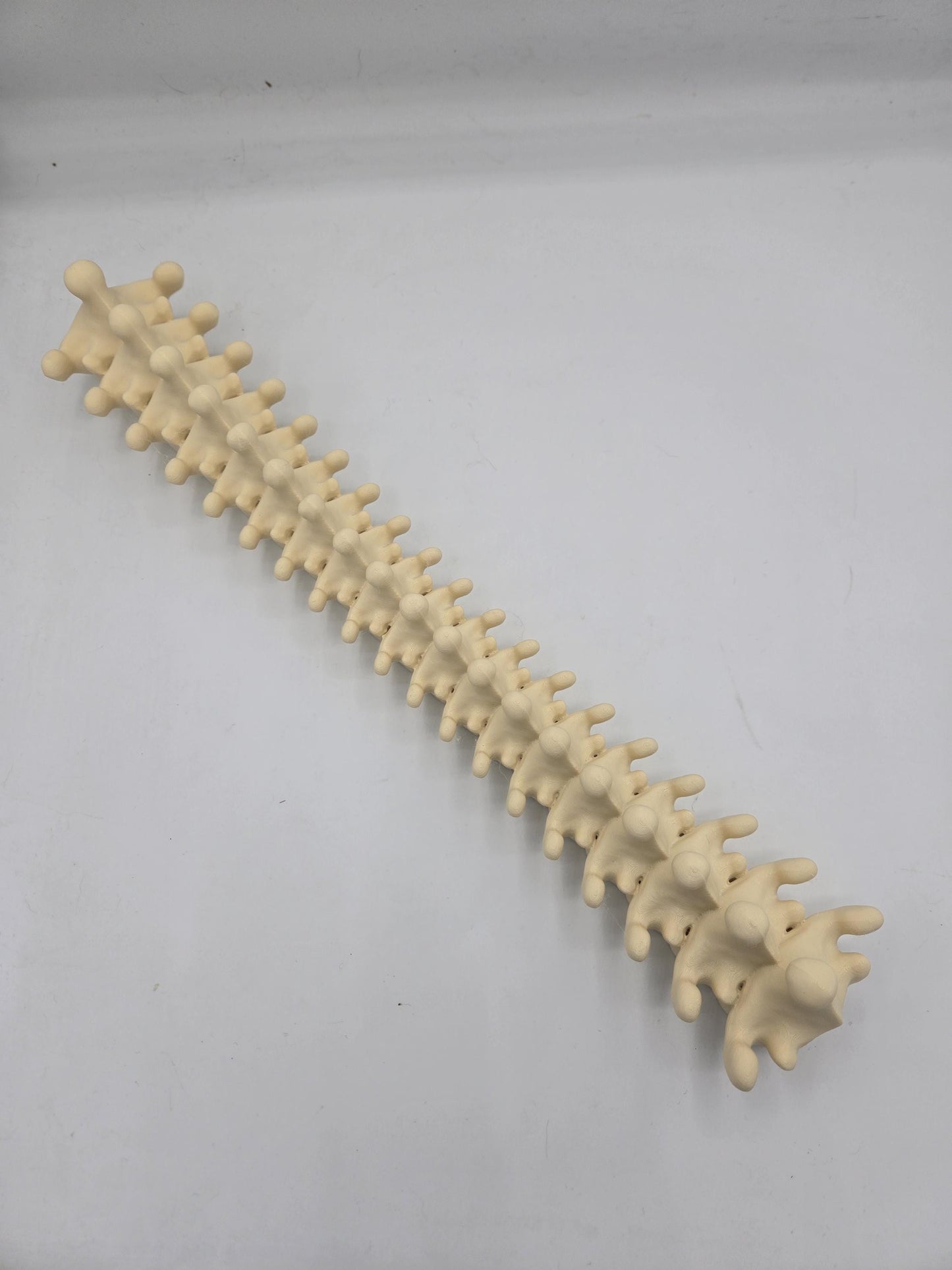 Spine Jewelry Holder Wall Hanging Display | 3D Print