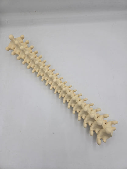 Spine Jewelry Holder Wall Hanging Display | 3D Print