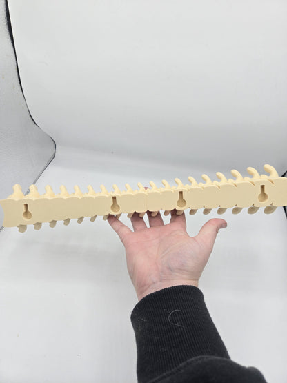 Spine Jewelry Holder Wall Hanging Display | 3D Print