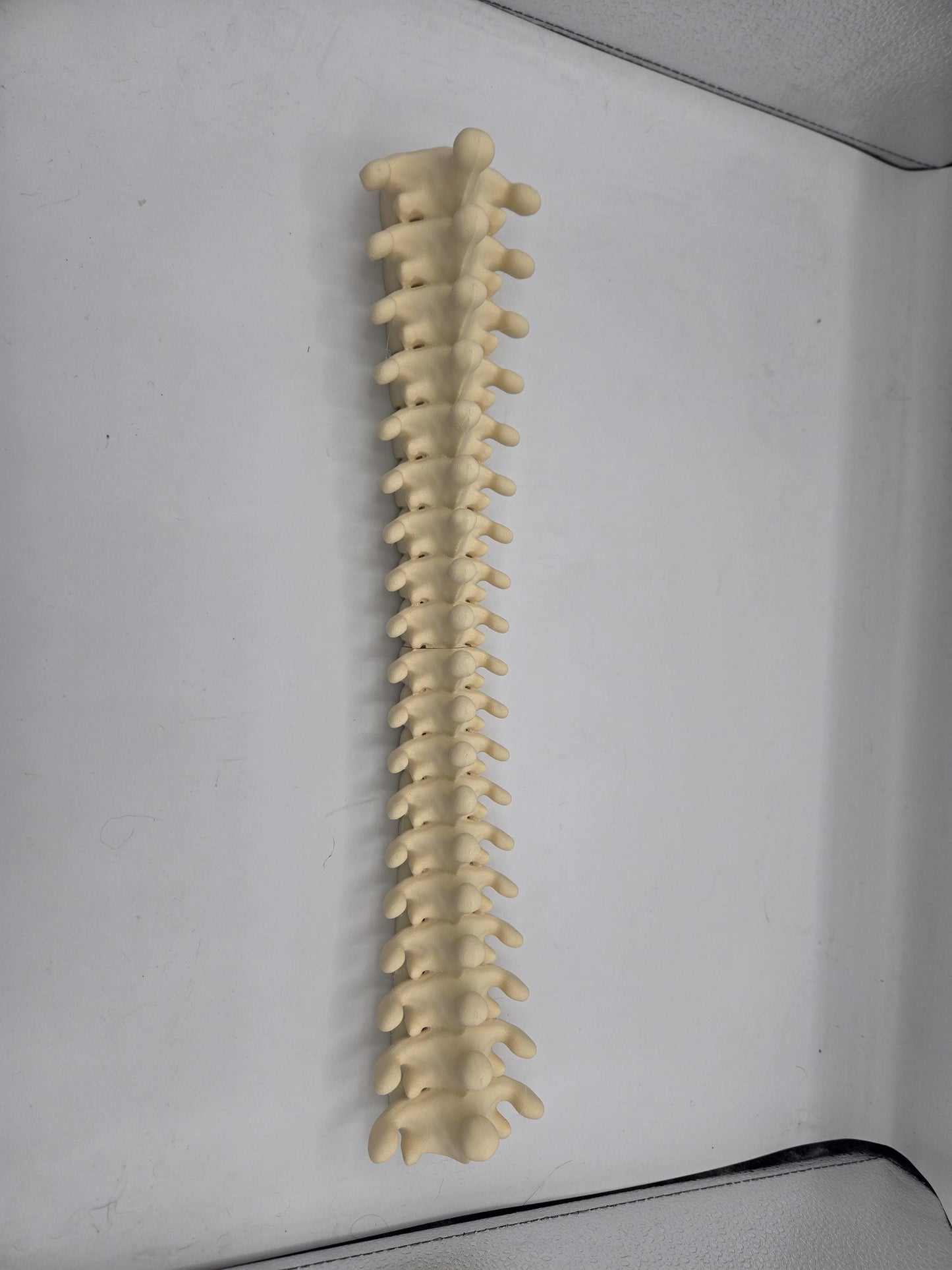 Spine Jewelry Holder Wall Hanging Display | 3D Print