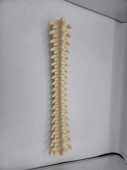 Spine Jewelry Holder Wall Hanging Display | 3D Print