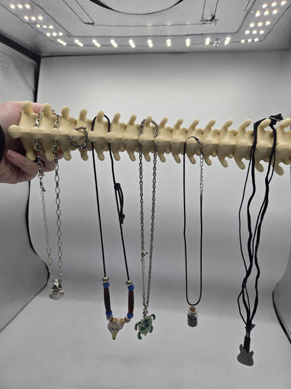 Spine Jewelry Holder Wall Hanging Display | 3D Print
