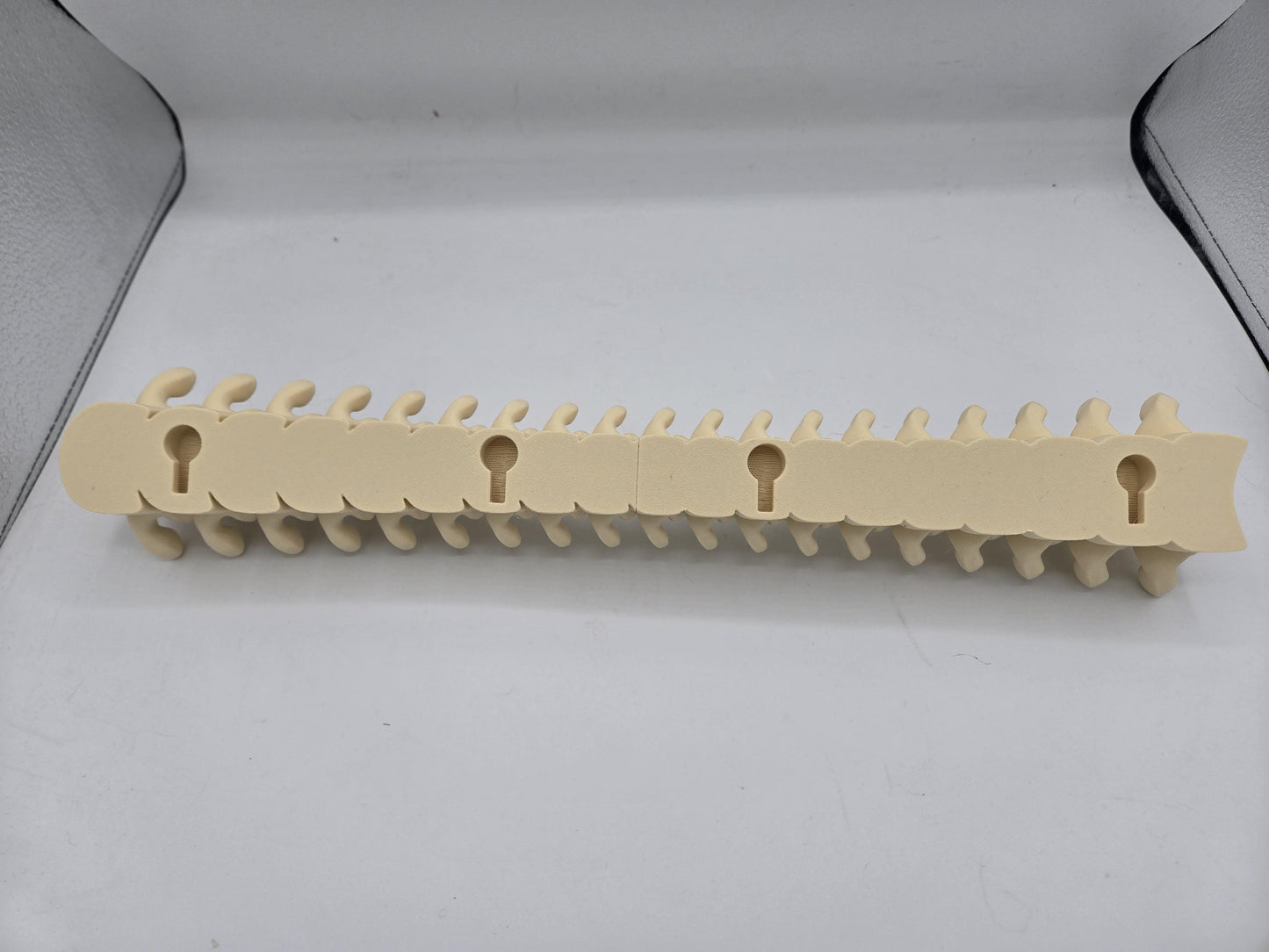 Spine Jewelry Holder Wall Hanging Display | 3D Print