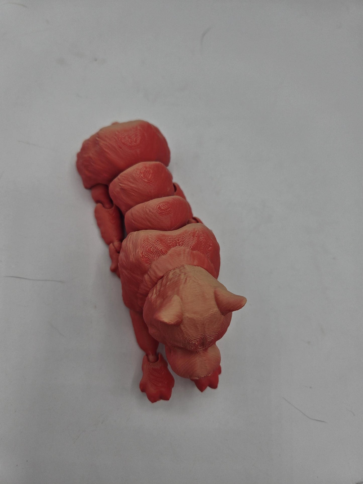 Prehistoric Sabertooth Big Cat Articulated Flexi 3D Print