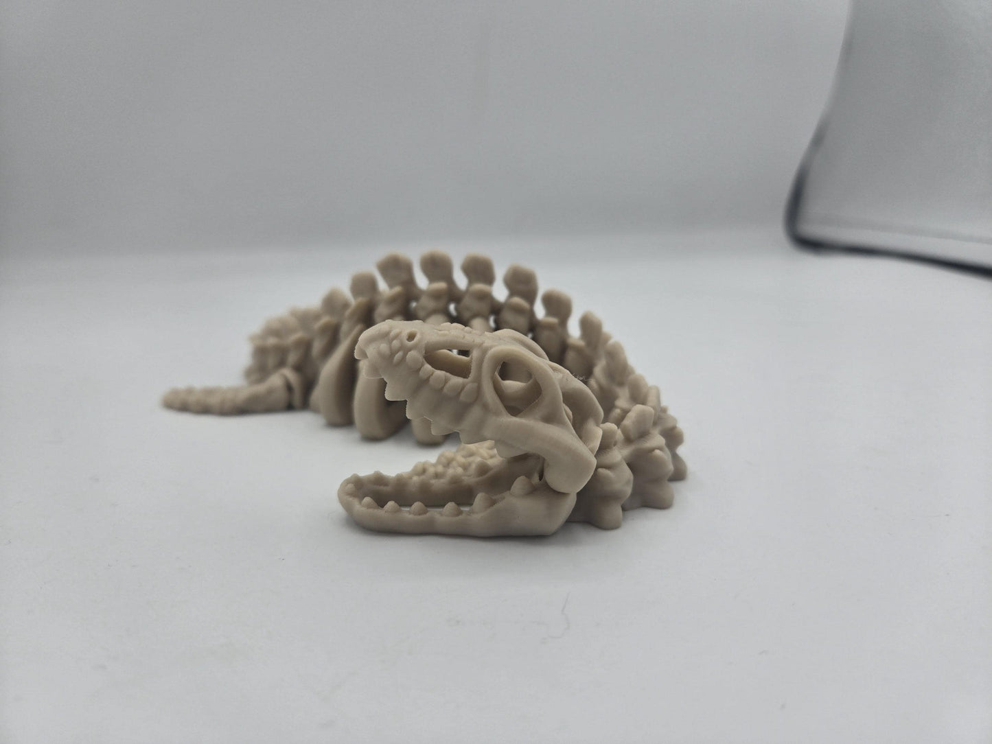 Plesiosaurus Skeleton Dinosaur Articulated Flexi 3D Print