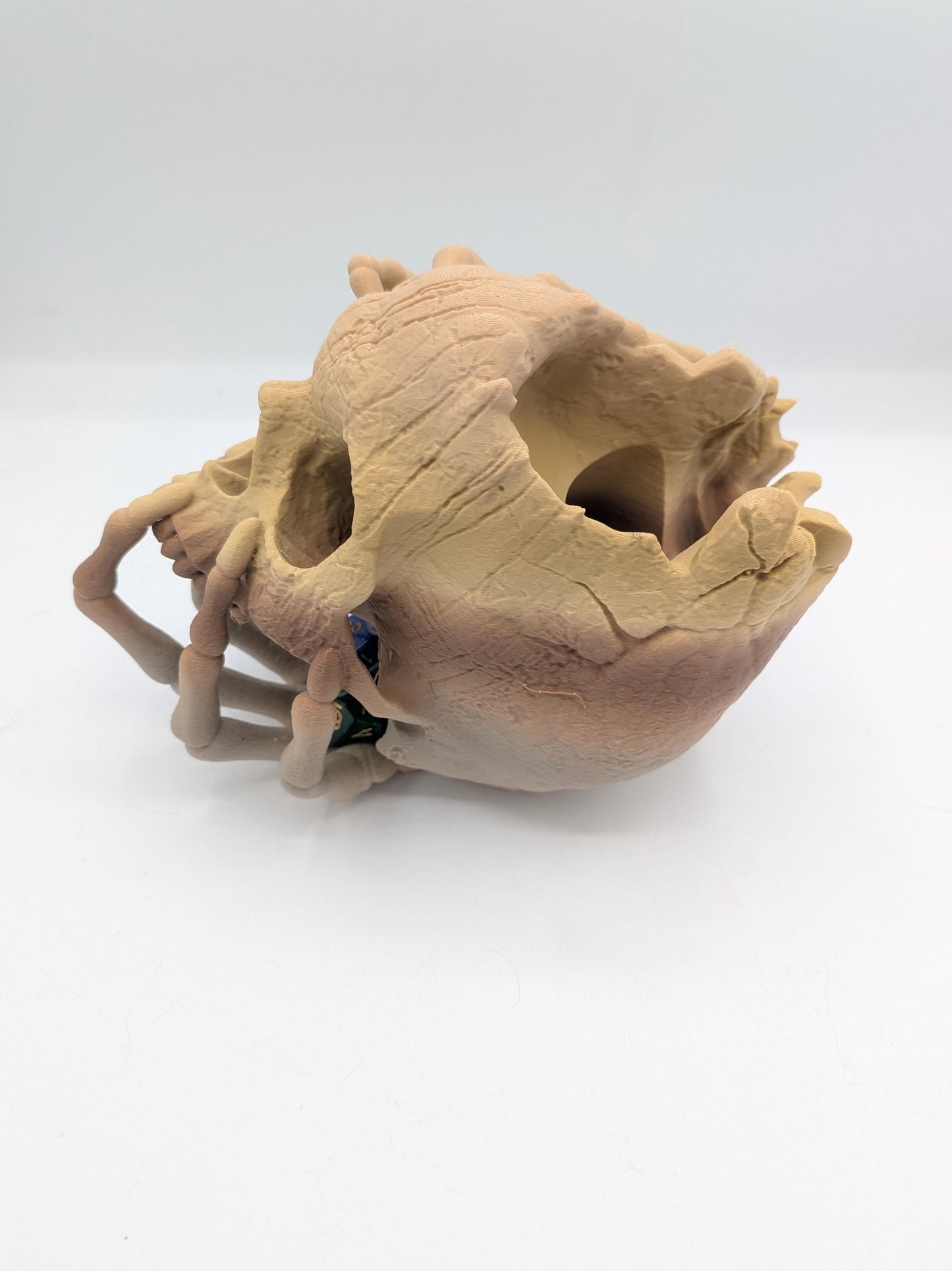Rear side view of the skull dice tower showing weathered wood-textured skull surface