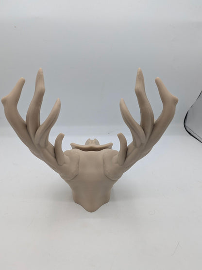Rear view of the deer skull glasses holder showing the full antler spread