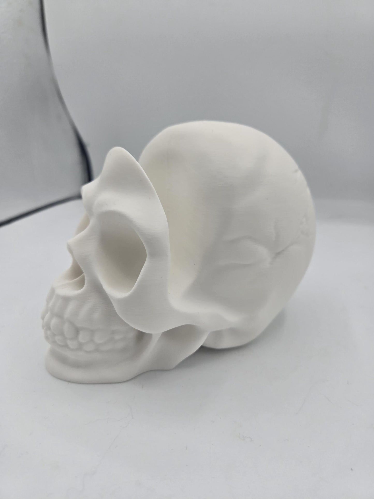 Profile view of white human skull glasses holder with detailed teeth and jawline