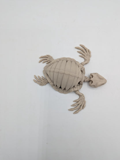 Top view of flexi turtle skeleton showing ribbed shell, skull, and articulated flippers, 3D printed