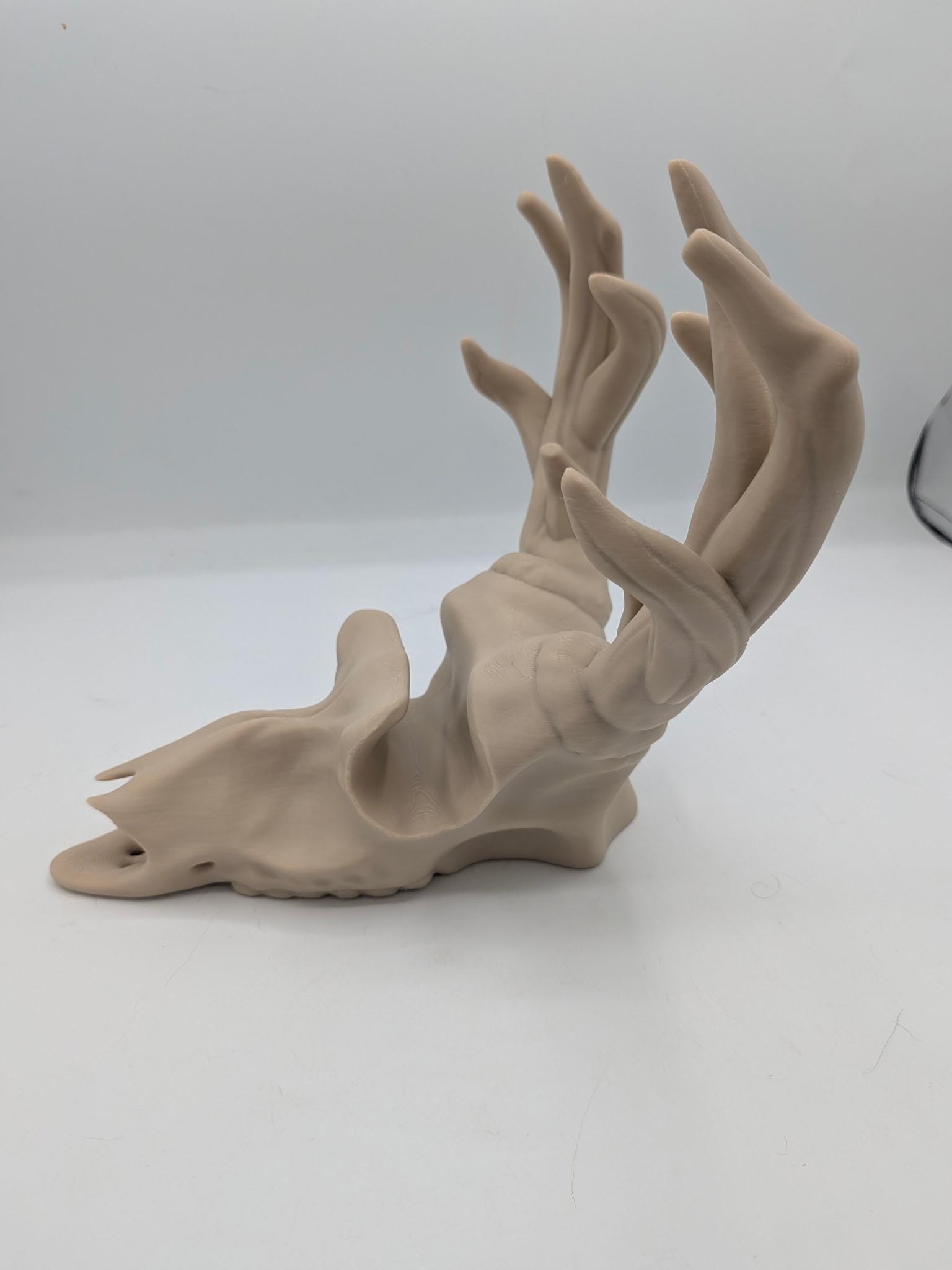 Side view of the deer skull jewelry stand showing the sculpted antler tines
