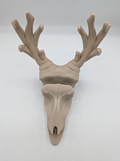 Front view of the deer skull glasses holder showing the glasses slot and antler jewelry branches
