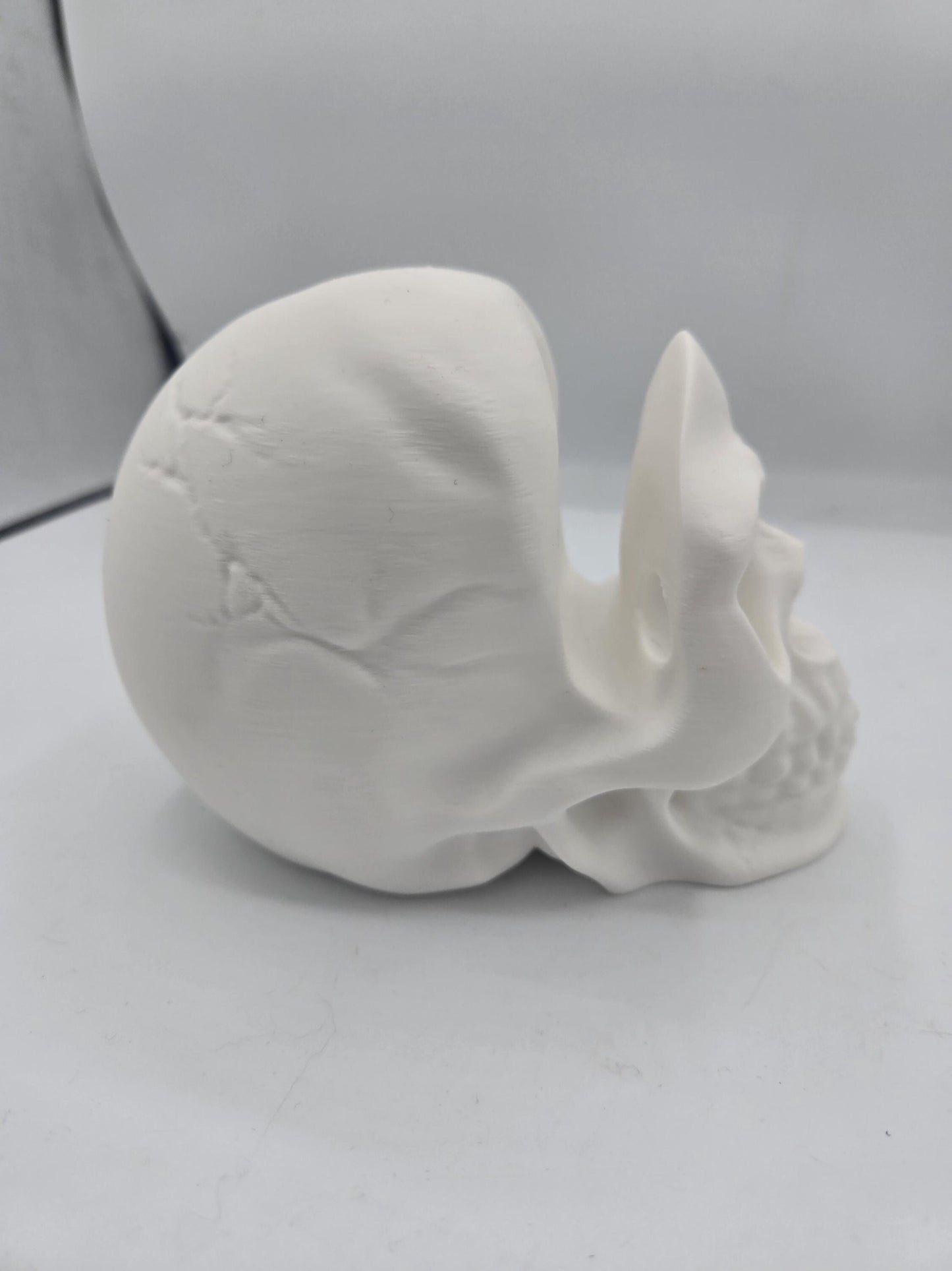 Side view of human skull glasses holder showing smooth cranium and sculpted brow detail