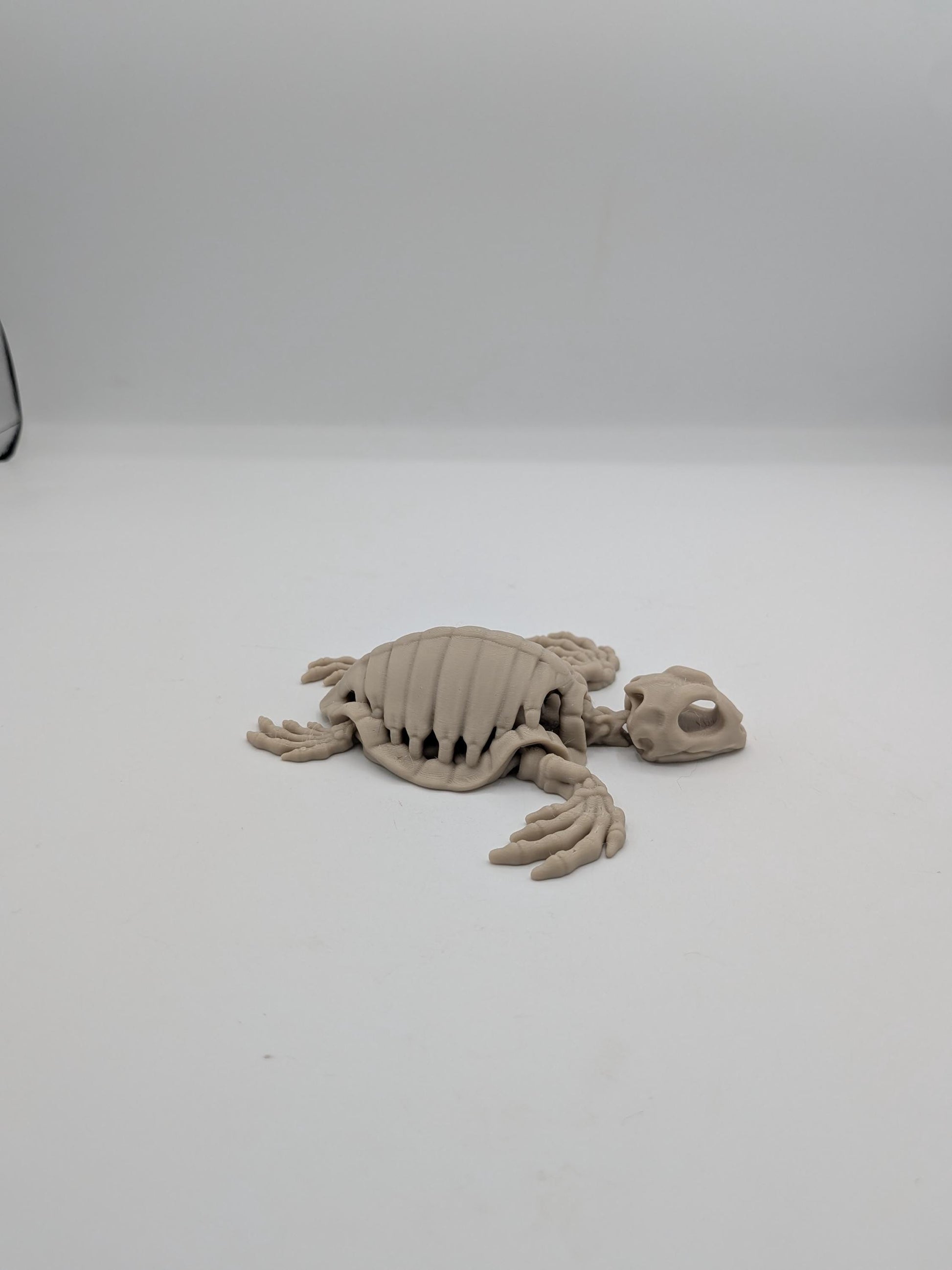 Front view of articulated turtle skeleton flexi with skull head and clawed flippers, 3D printed