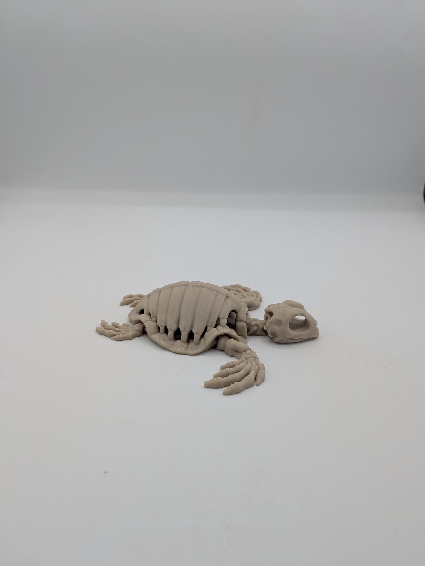 Flexi turtle skeleton 3D print in bone white resting flat, side view on white background